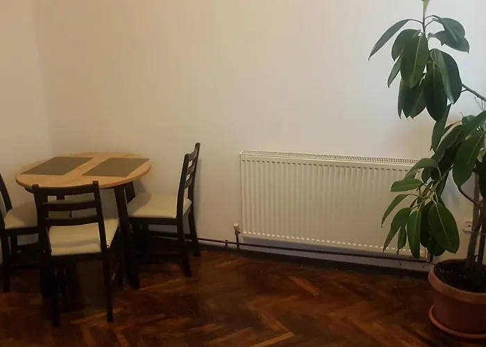 Cosy Studio-Apartament