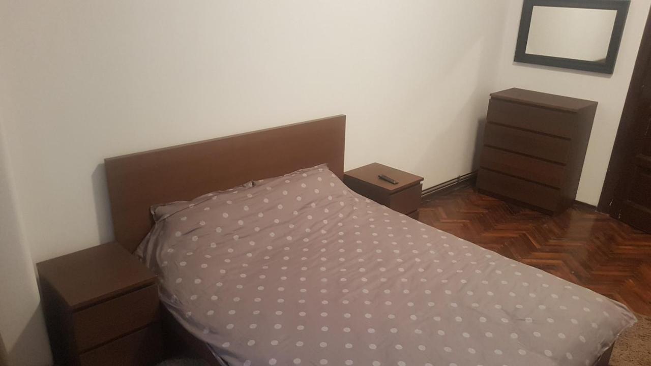 Cosy Studio-apartament Apartment Oradea